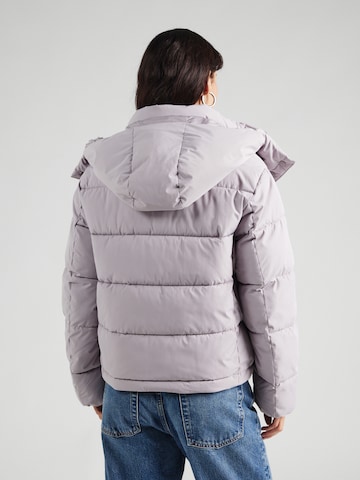 Calvin Klein Jeans - Chaqueta de invierno en gris