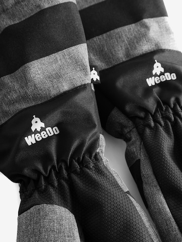 WeeDo Gloves 'RACOONDO' in Grey
