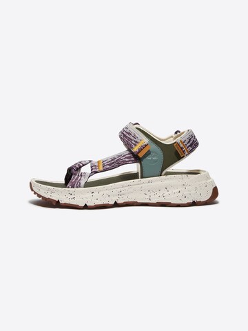 TIMBERLAND Strap sandal in Mixed colours