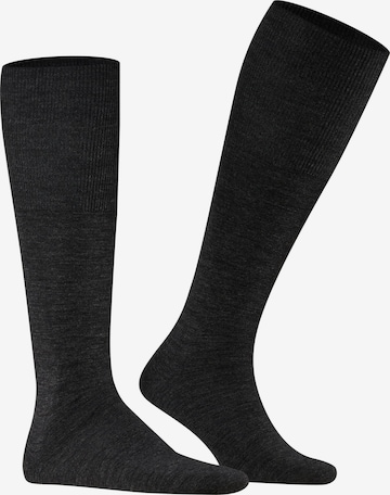 FALKE Knee High Socks 'Airport' in Grey: front
