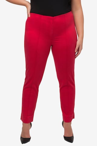 Ulla Popken Regular Pants in Orange: front