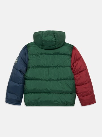 Geacă de primăvară-toamnă de la Levi's Kids pe verde