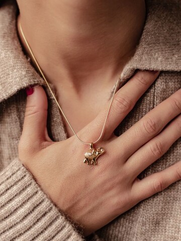 Hey Happiness Ketting 'Success Spirit' in Goud