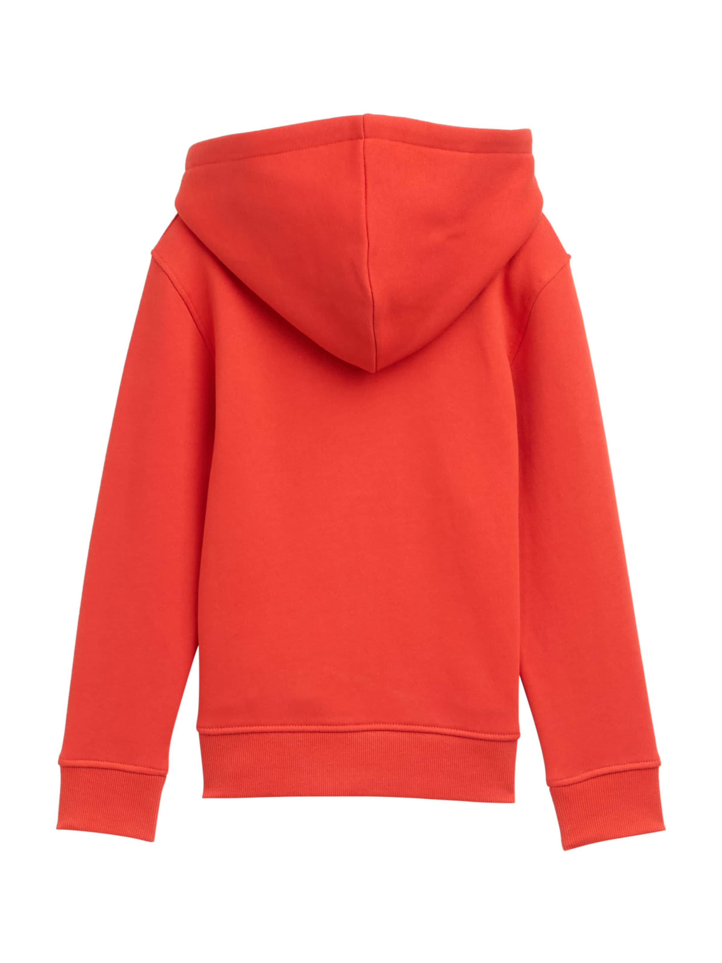 TOM TAILOR Sweatshirt in Red