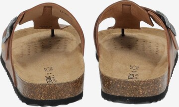 GEOX T-Bar Sandals in Brown