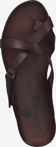 COSMOS COMFORT T-Bar Sandals in Brown