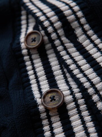 Pull-over 'OM-SWCD-0152' Ombre en bleu