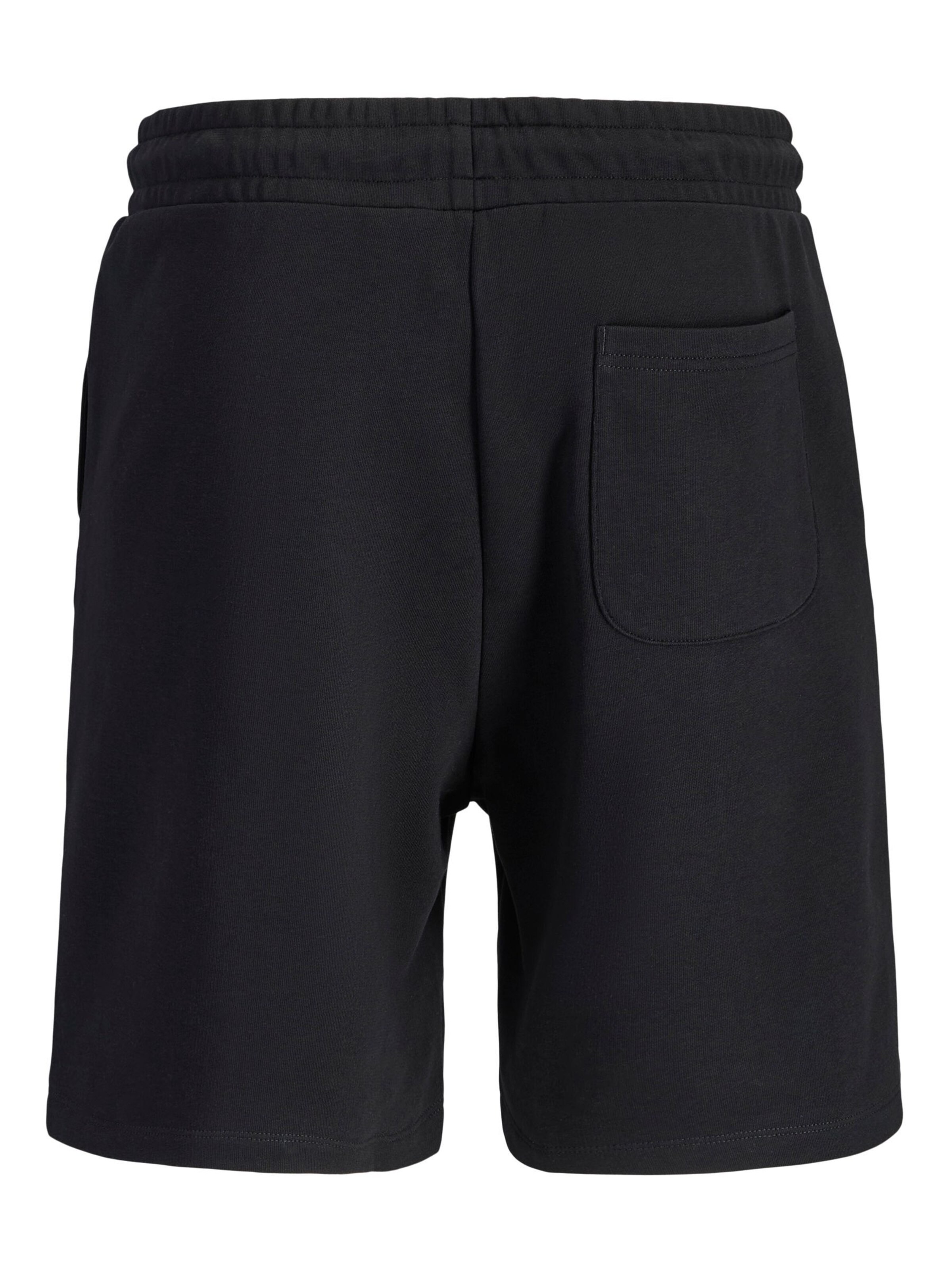 Jack & Jones Plus Regular Pants 'JPSTKane' in Black