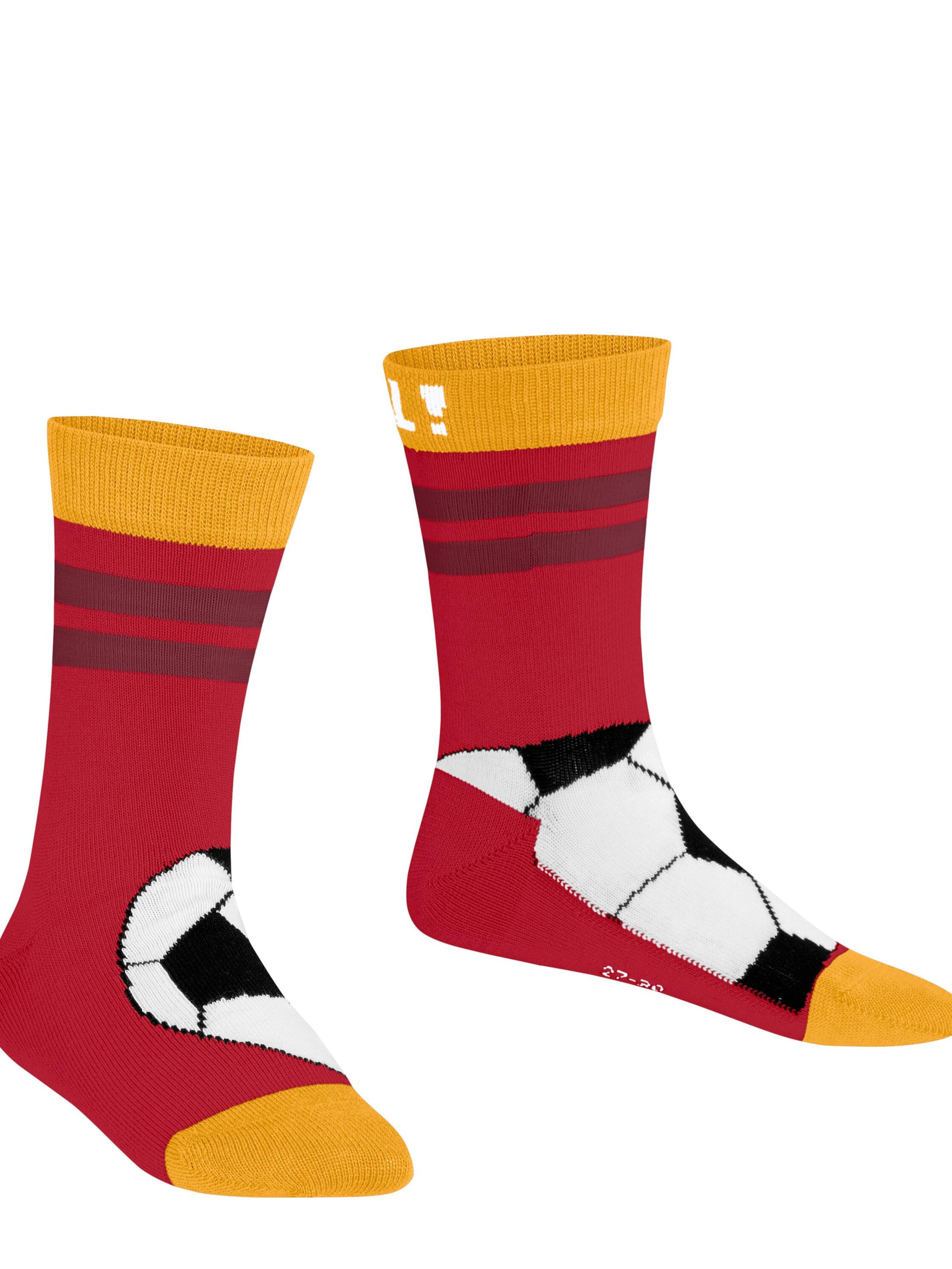 FALKE Socks 'Active Soccer' in Red