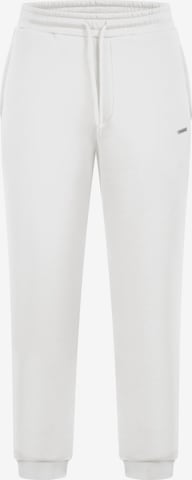 Smilodox Pants in Beige: front