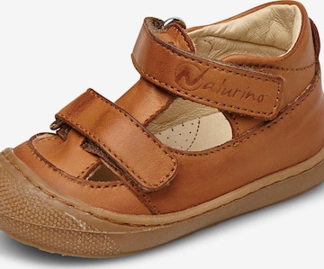 NATURINO Open shoes 'PUFFY' in Beige: front