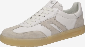 Baskets basses ' Tedroso-711 ' SIOUX en beige : devant