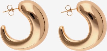 faina Ohrringe in Gold: Vorderseite