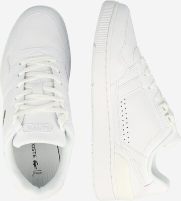 Sneaker low de la LACOSTE pe alb