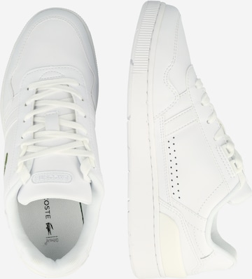 Baskets basses LACOSTE en blanc