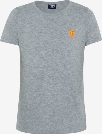 Polo Sylt T-Shirt in Grau: predná strana