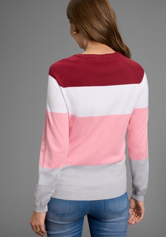 Neun Monate Pullover in Mischfarben