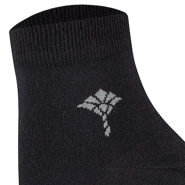 JOOP! Socks in Black