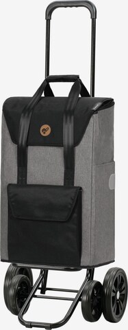 Andersen Shopper Trolley 'Senta' in Grau: Vorderseite