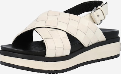 SHABBIES AMSTERDAM Sandal in Off white, Item view