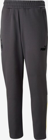 PUMA Regular Sportbroek in Grijs: voorkant