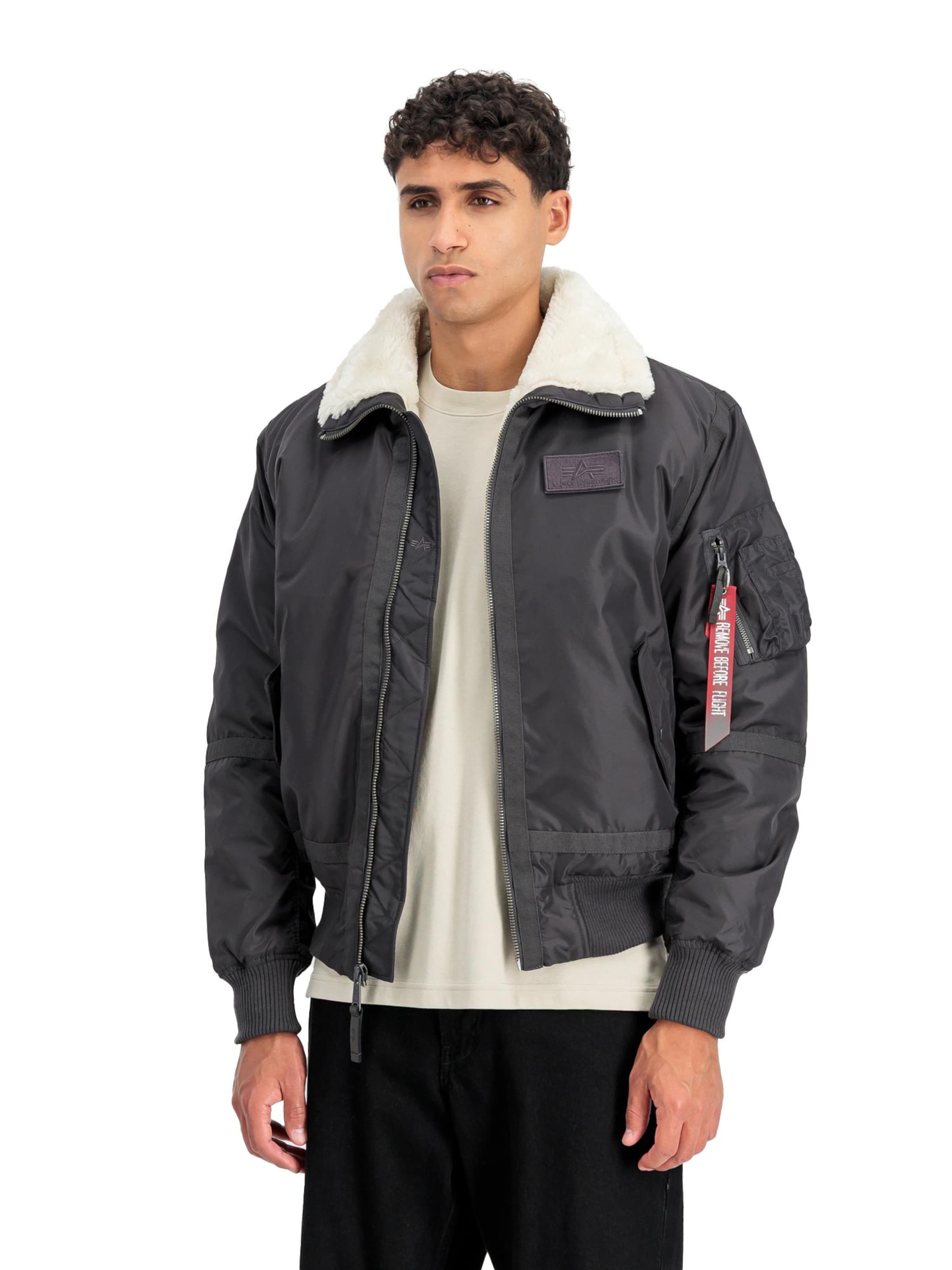 ALPHA INDUSTRIES Winter Jacket 'B15-3 TT' in Grey