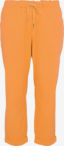 Paprika Chino Pants in Orange: front