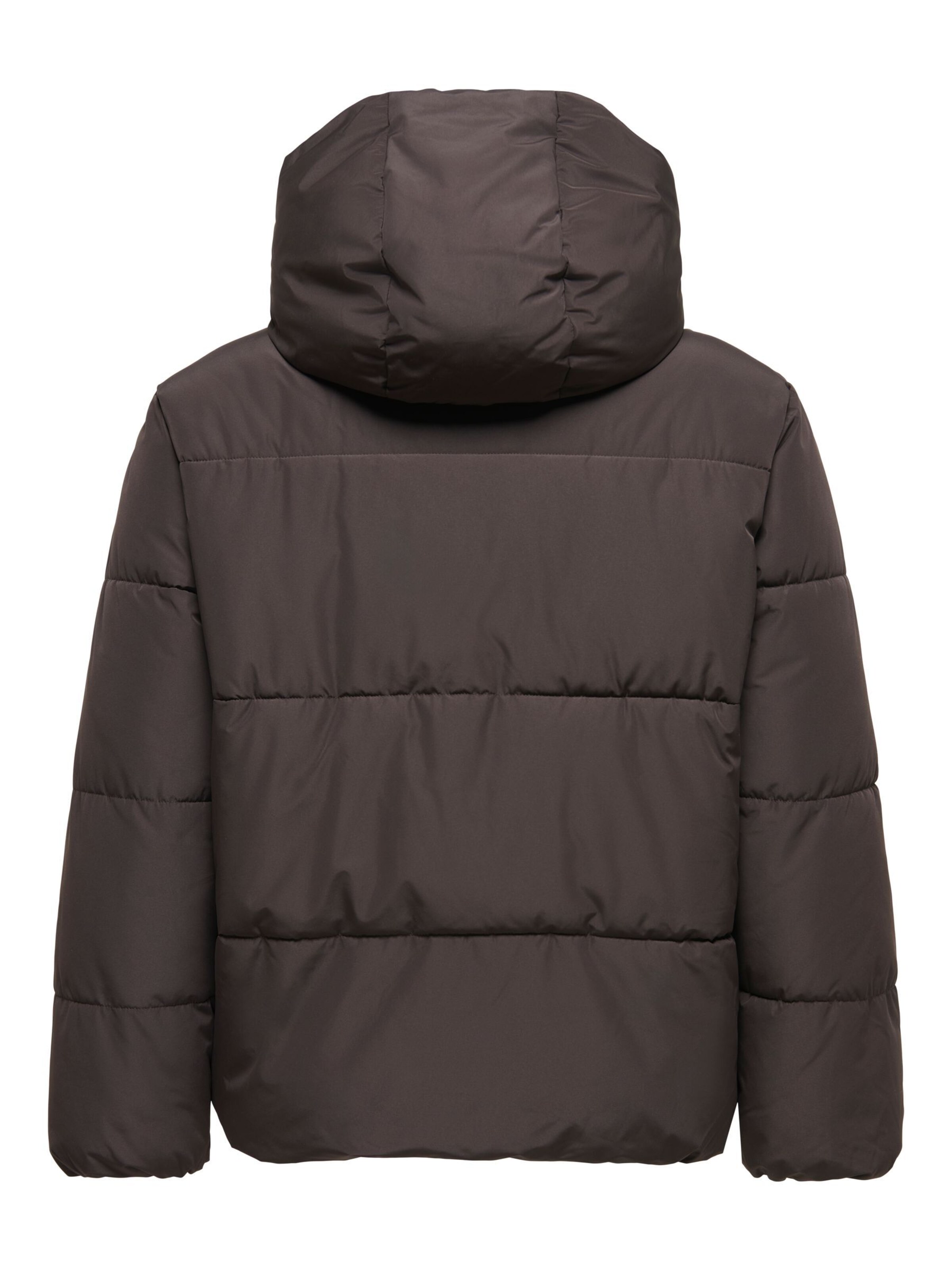 Veste d’hiver 'CARJUTA' ONLY Carmakoma en marron
