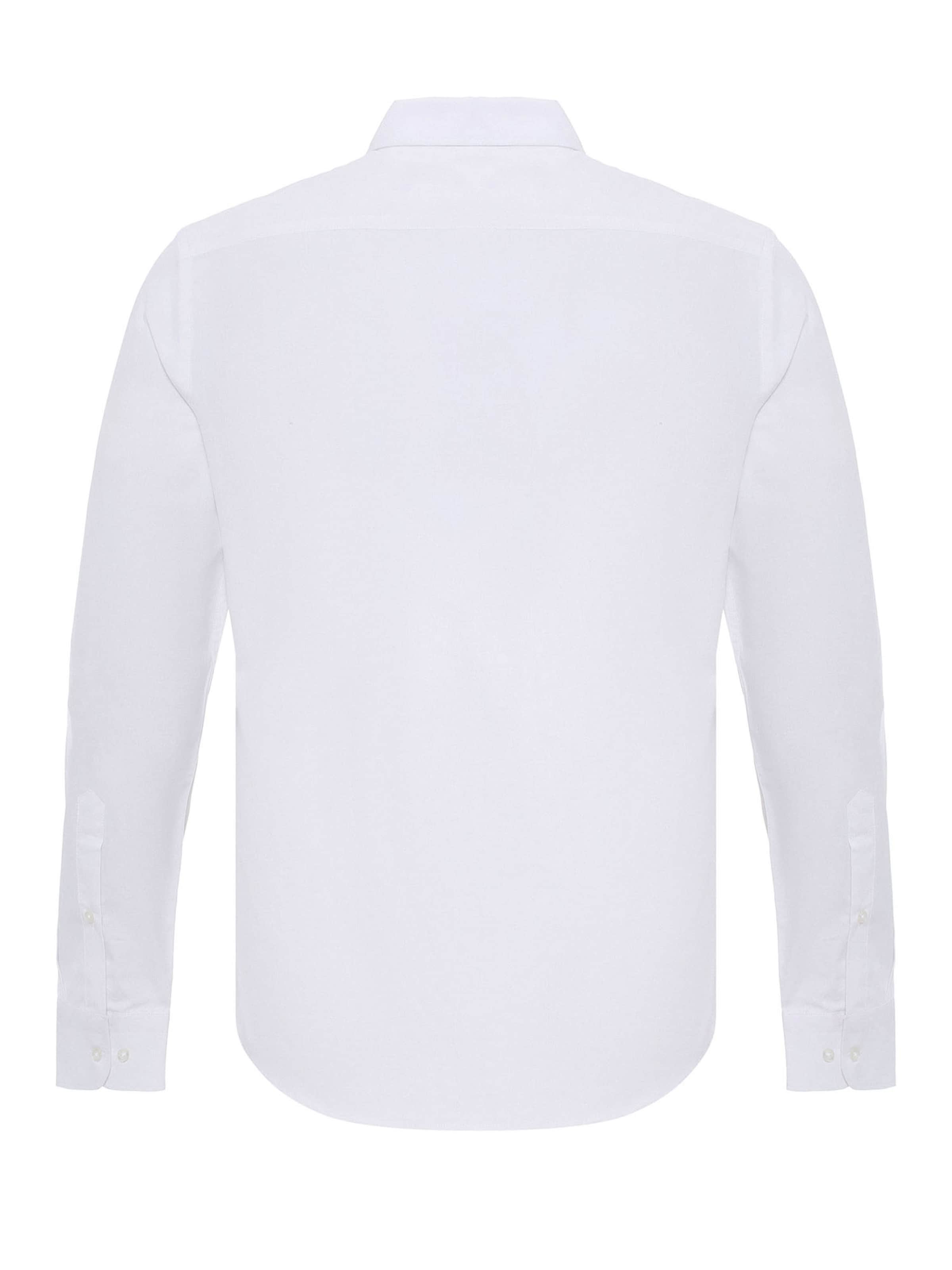 Dandalo Regular fit Button Up Shirt in Blue