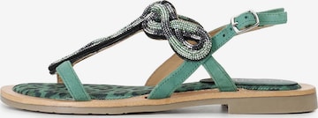 Sandalo di CAFè NOIR in verde: frontale