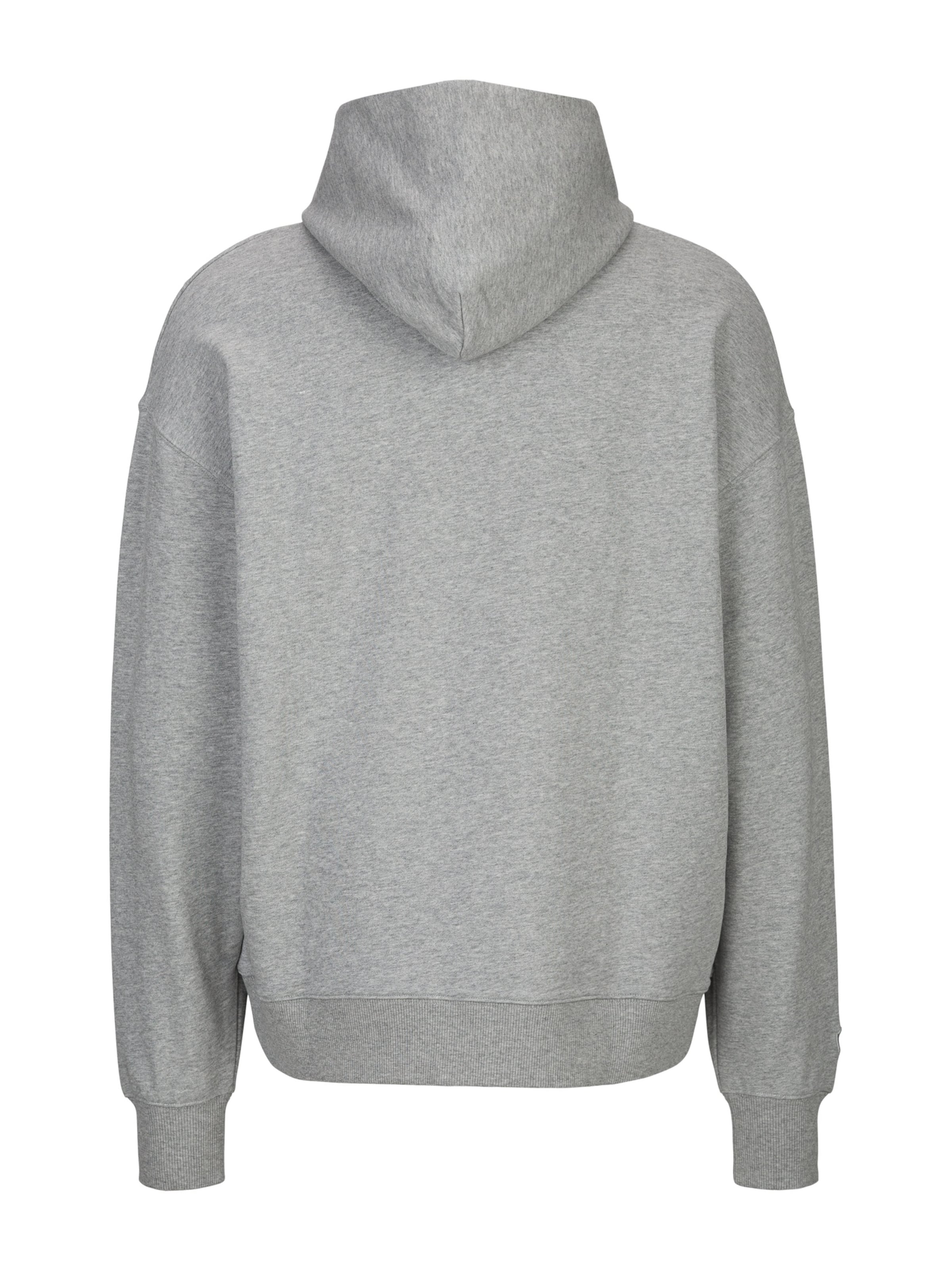 19V69 ITALIA - Sudadera 'Quentino College' en gris