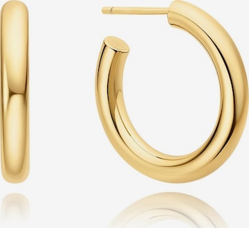 ANIA HAIE Ohrringe in Gold: Vorderseite