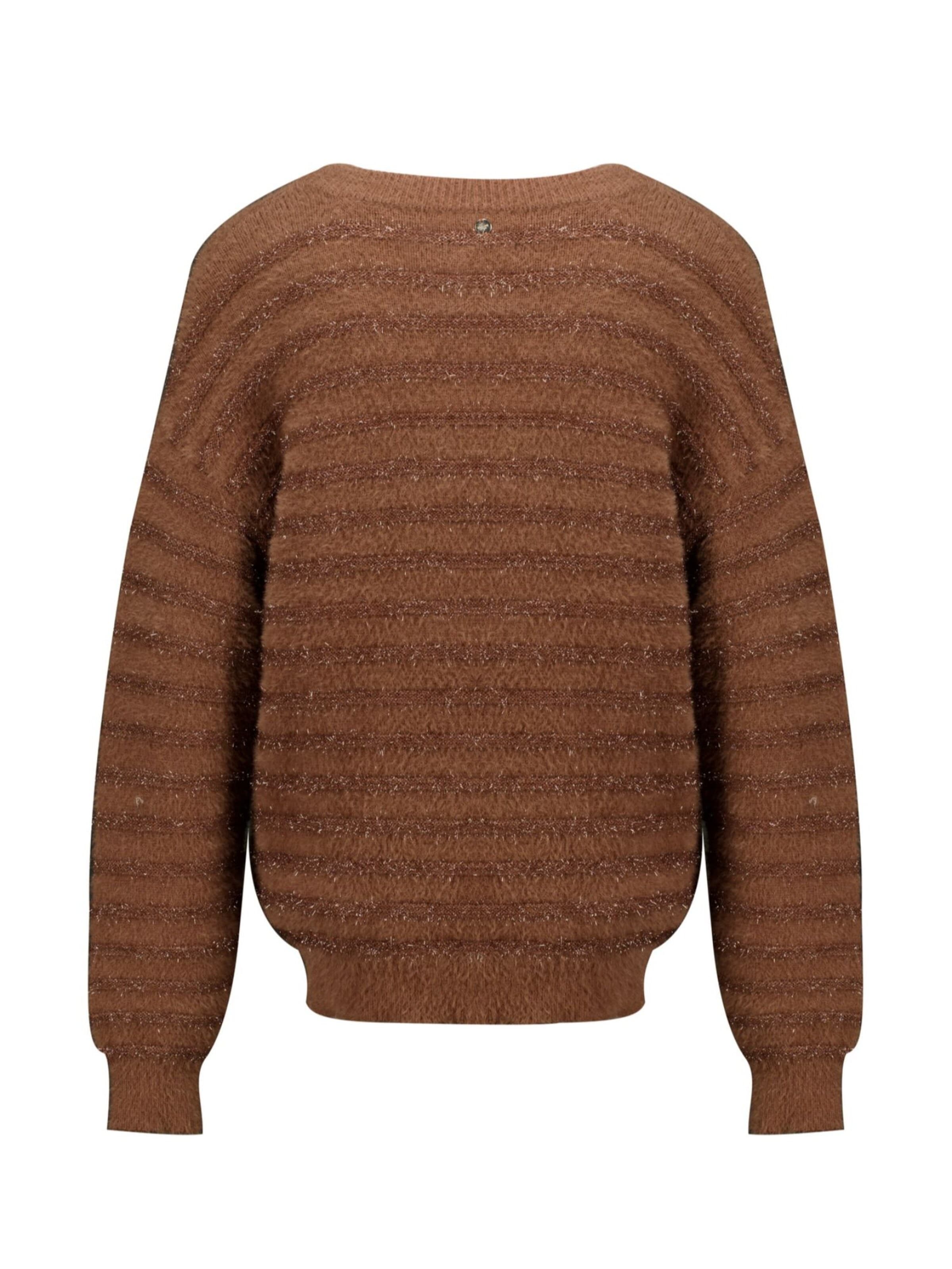 Pull-over Deeluxe en marron