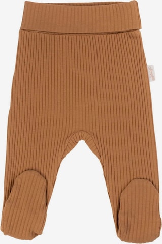 Bamar Nicol Regular Pants in Brown: front