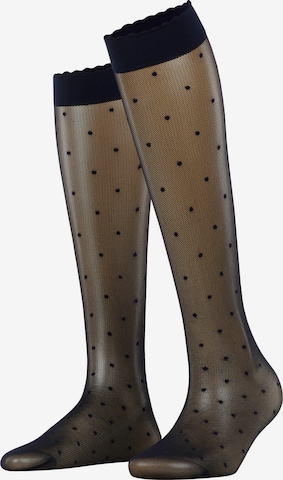 FALKE Over the Knee Socks 'Dot' in Blue: front