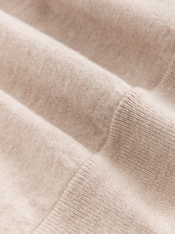 Next Trui in Beige