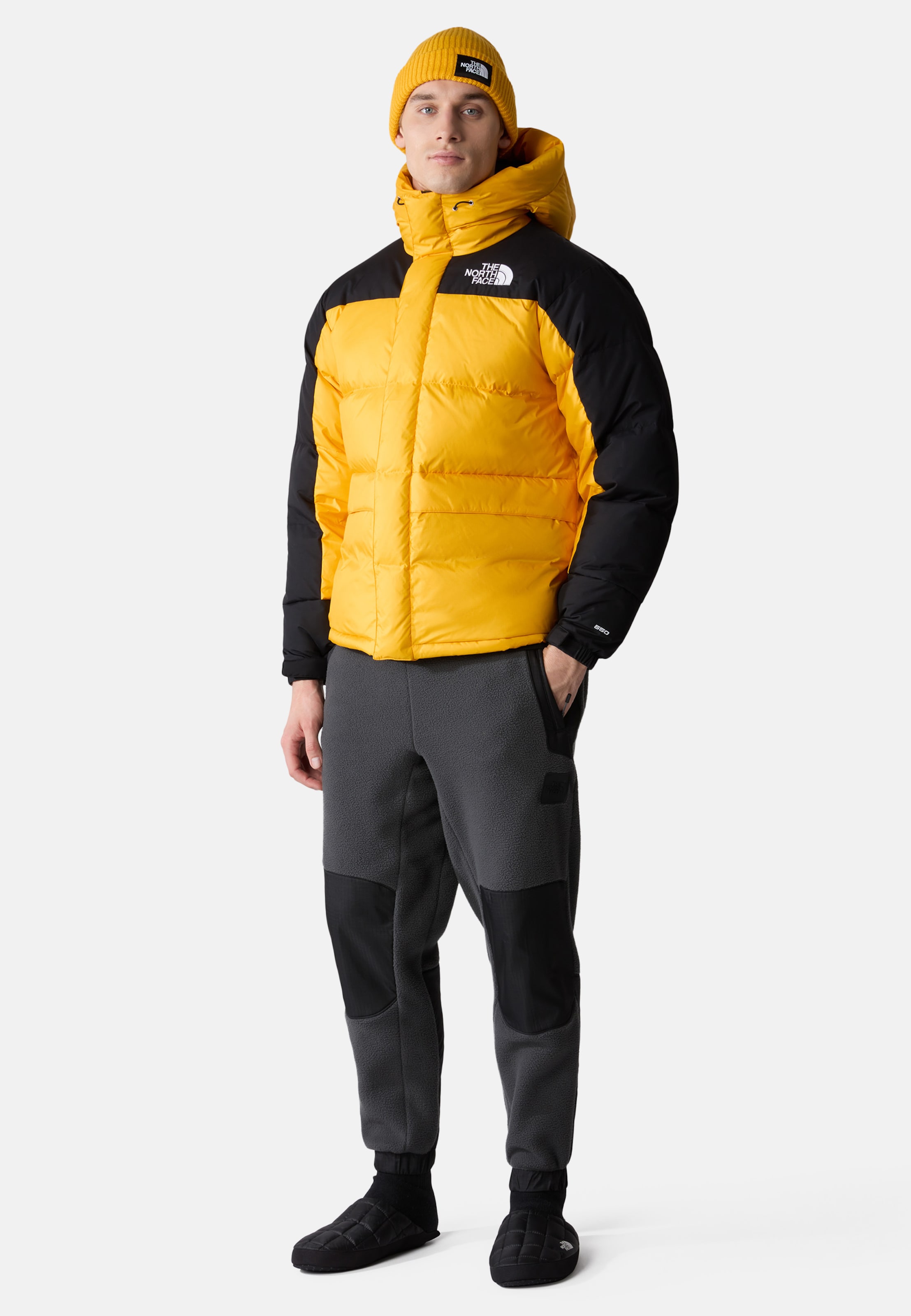 Coupe regular Veste d hiver HMLYN THE NORTH FACE en Jaune Noir