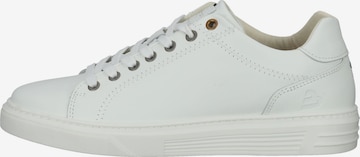 Baskets basses BULLBOXER en blanc