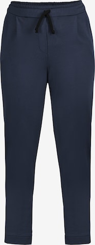 Regular Pantalon ' CECYLIA ' Karko en bleu : devant