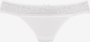 LASCANA Thong in White: front