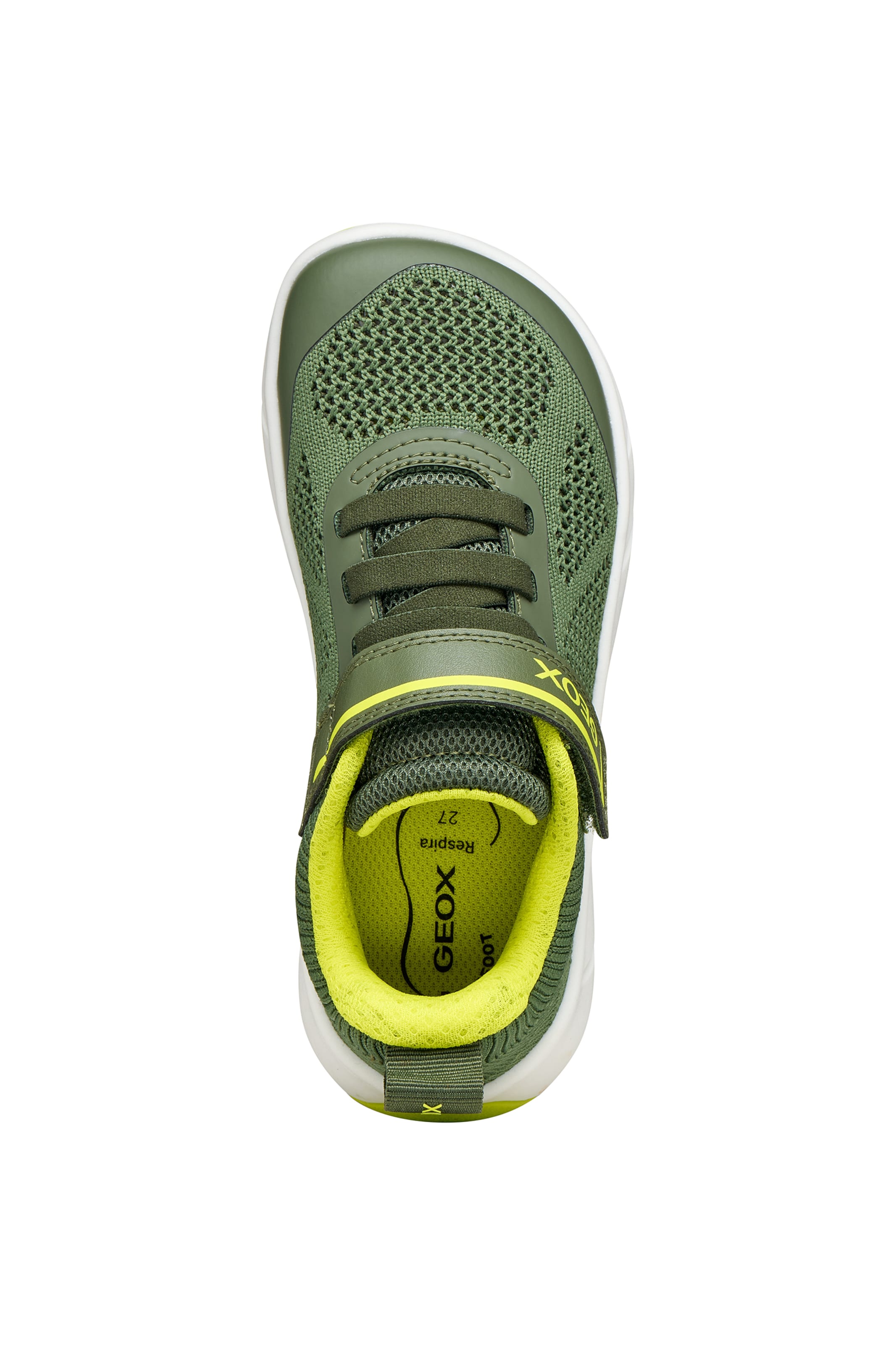 GEOX Sneakers in Green
