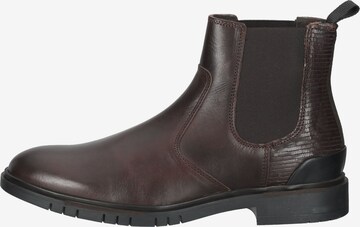 Chelsea Boots BULLBOXER en marron