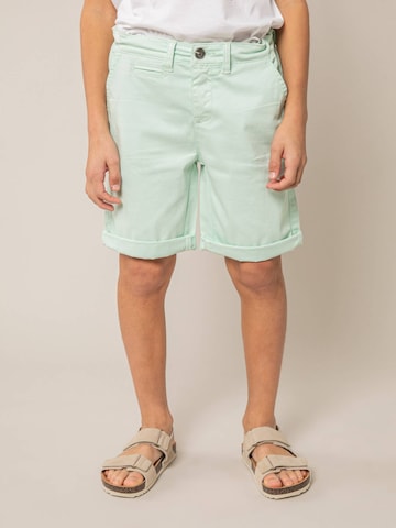 Regular Pantalon Deeluxe en vert