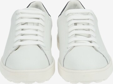 Baskets basses GEOX en blanc