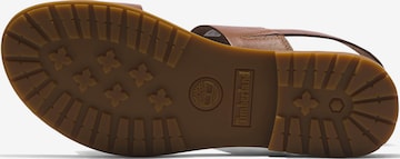 TIMBERLAND Sandals 'Chicago Riverside' in Brown