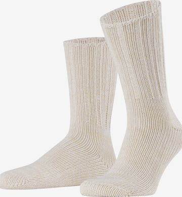 FALKE Socks 'Brooklyn' in Beige: front