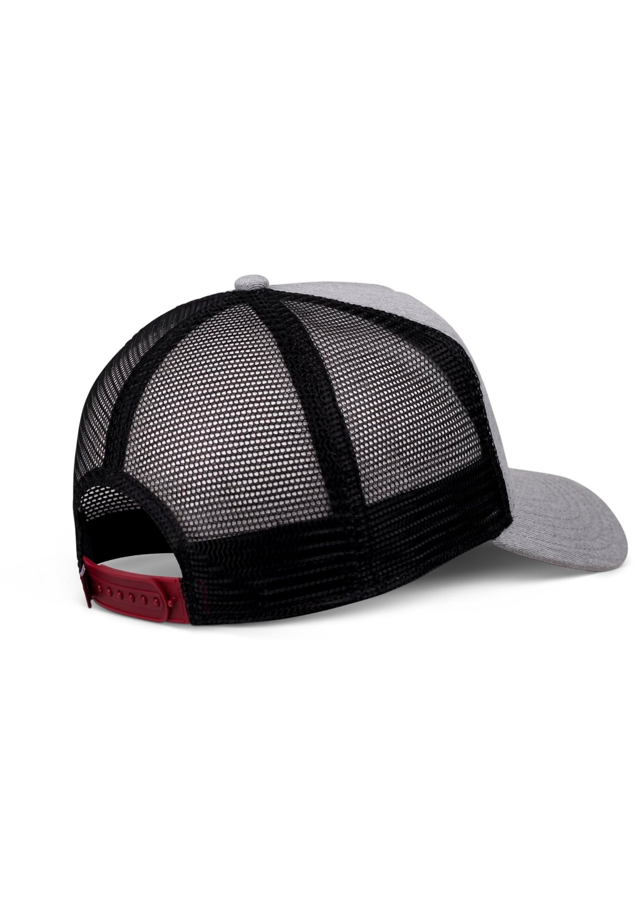 Coastal Pet in Grijs