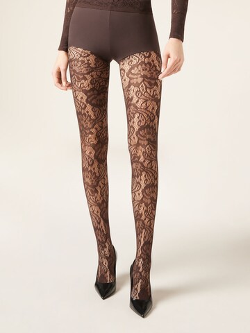 CALZEDONIA Tights in Brown: front