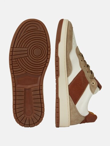 Boggi Milano Sneakers laag in Bruin