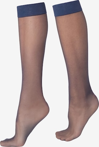 CALZEDONIA Knee High Socks in Blue: front